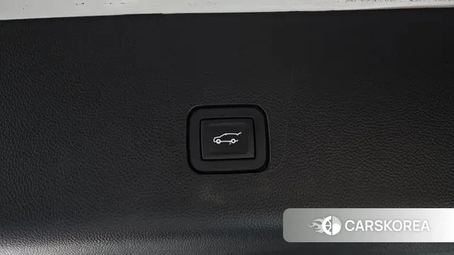 Chevrolet (GM Daewoo) Traverse id 3317863 из Кореи 11