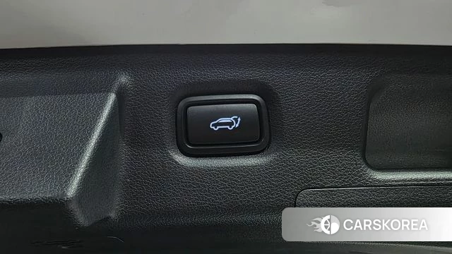 Hyundai Santa Fe TM id 4728223 из Кореи 11