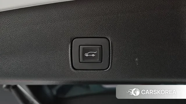 Chevrolet (GM Daewoo) Trailblazer id 3541027 из Кореи 11