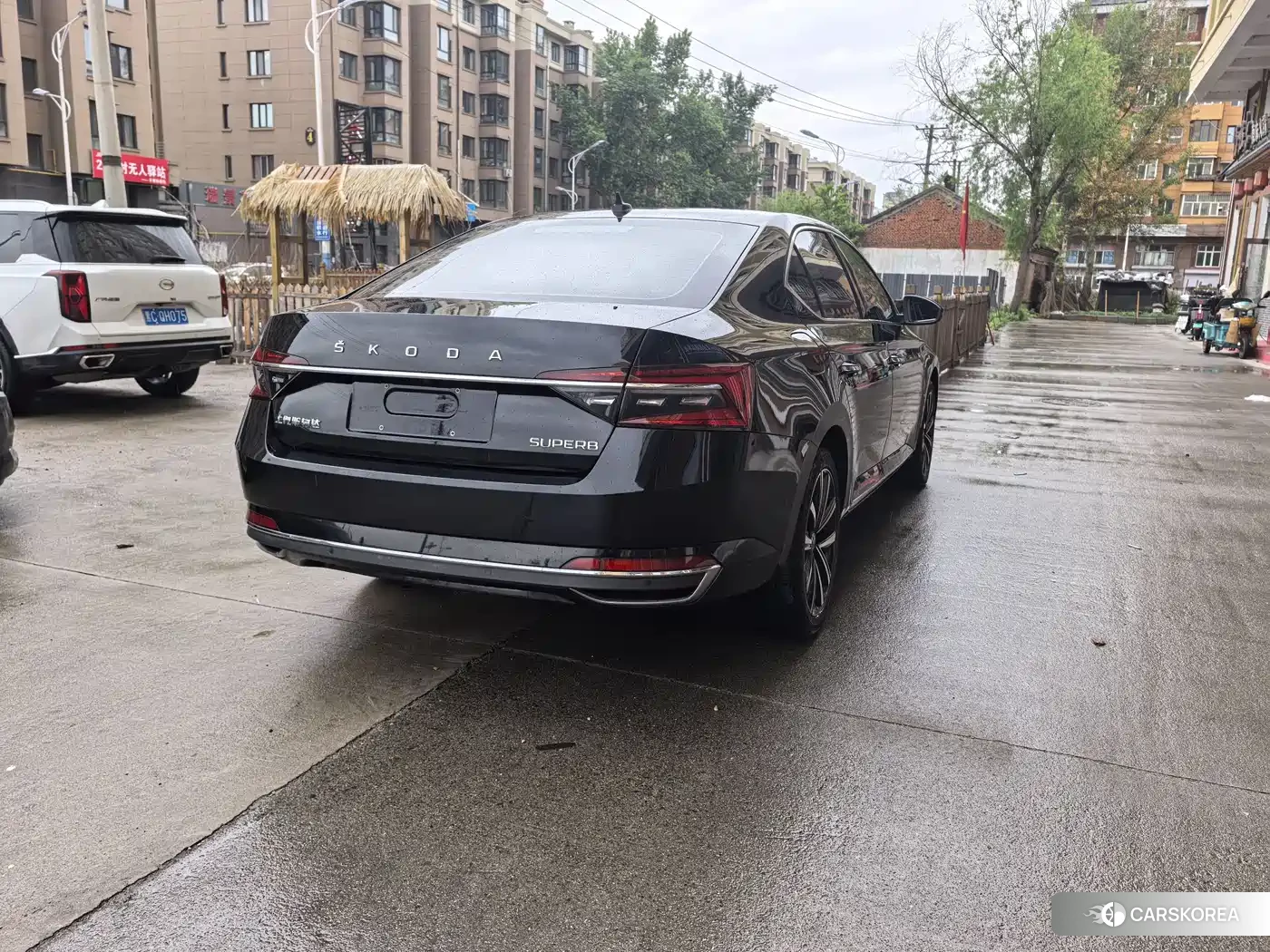 Skoda Speed pie id 4514093 из Китая 11