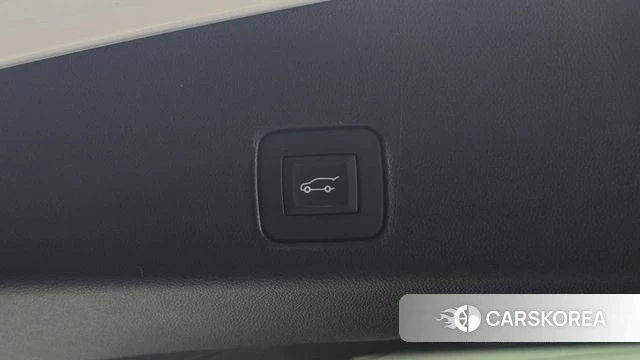 Chevrolet (GM Daewoo) Trailblazer id 4549516 из Кореи 11