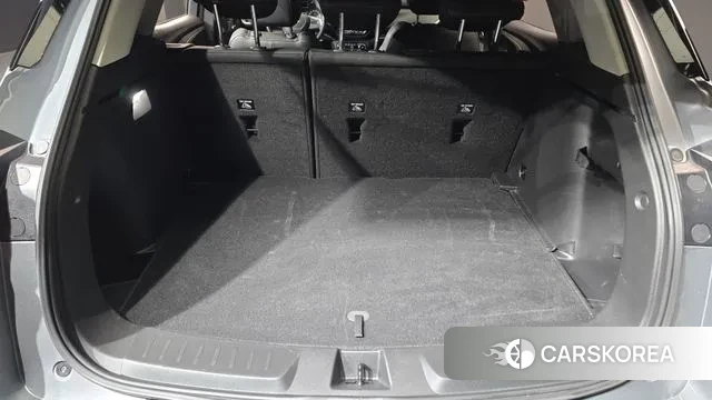 Chevrolet (GM Daewoo) Trailblazer id 3615407 из Кореи 11