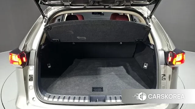 Lexus NX300h id 3024506 из Кореи 11