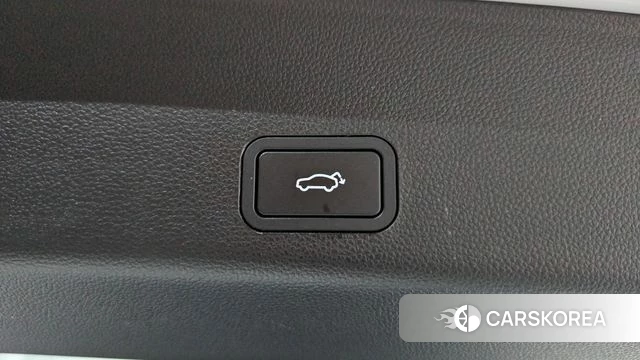 Renault Korea (Samsung) Grand Coleos id 4548805 из Кореи 11