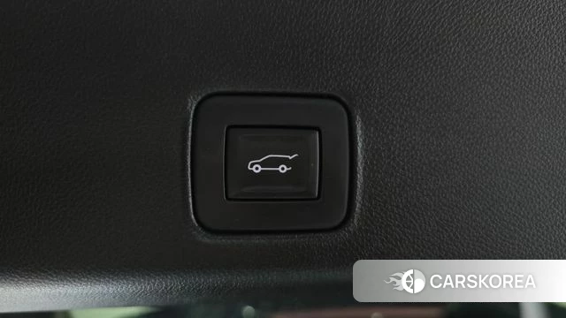 Chevrolet (GM Daewoo) Trailblazer id 3844046 из Кореи 11