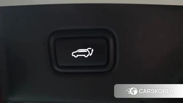 Kia Di Ol Nu Niro id 3492489 из Кореи 11