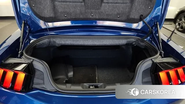 Ford Mustang 7th Generation id 2978785 из Кореи 11