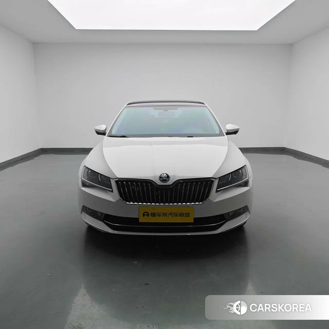 Skoda Speed pie id 4235866 из Китая 11