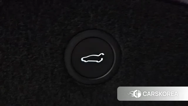 Tesla Model X id 3487390 из Кореи 11