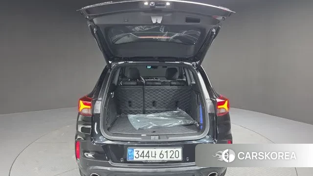 Chevrolet (GM Daewoo) Trailblazer id 3611173 из Кореи 11