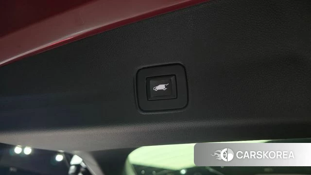 Chevrolet (GM Daewoo) Trailblazer id 4501740 из Кореи 11