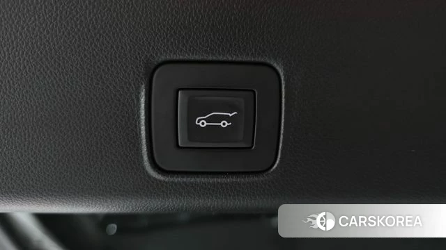 Chevrolet (GM Daewoo) Trailblazer id 4194921 из Кореи 11