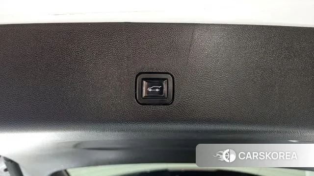 Chevrolet (GM Daewoo) Traverse id 3439295 из Кореи 11