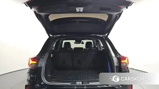 Chevrolet (GM Daewoo) Trailblazer id 3514151 из Кореи 11