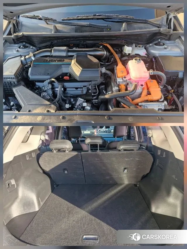 Kia Sportage 5th Generation Hybrid id 3669055 из Кореи 11