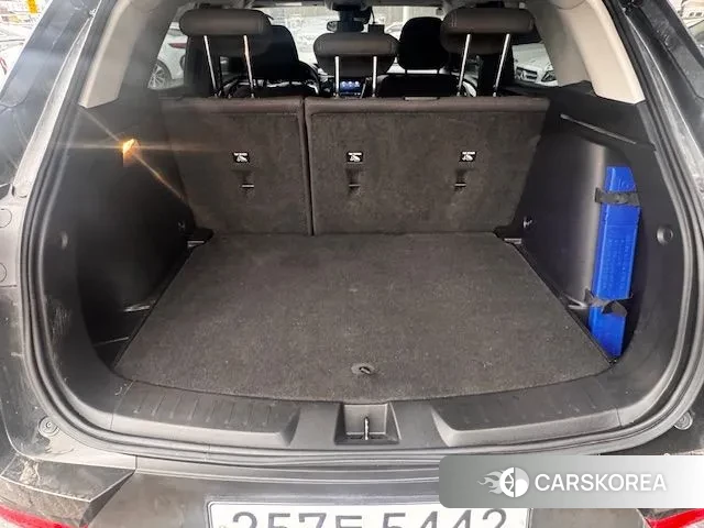 Chevrolet (GM Daewoo) Trailblazer id 3621989 из Кореи 11