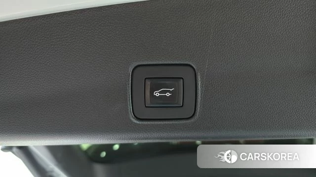 Chevrolet (GM Daewoo) Trailblazer id 3910313 из Кореи 11