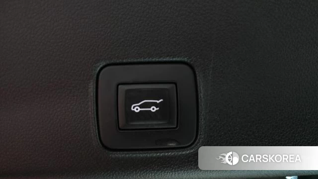 Chevrolet (GM Daewoo) Trailblazer id 4324205 из Кореи 11