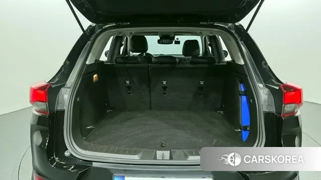 Chevrolet (GM Daewoo) Trailblazer id 3753259 из Кореи 11