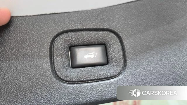 Renault Korea (Samsung) QM6 id 3814449 из Кореи 11