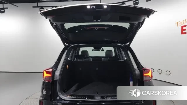 Chevrolet (GM Daewoo) Trailblazer id 2900477 из Кореи 11