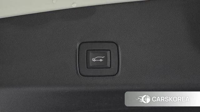 Chevrolet (GM Daewoo) Trailblazer id 4470982 из Кореи 11