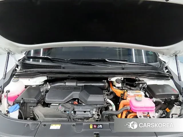 Kia The New Carnival 4th Generation id 3731623 из Кореи 11