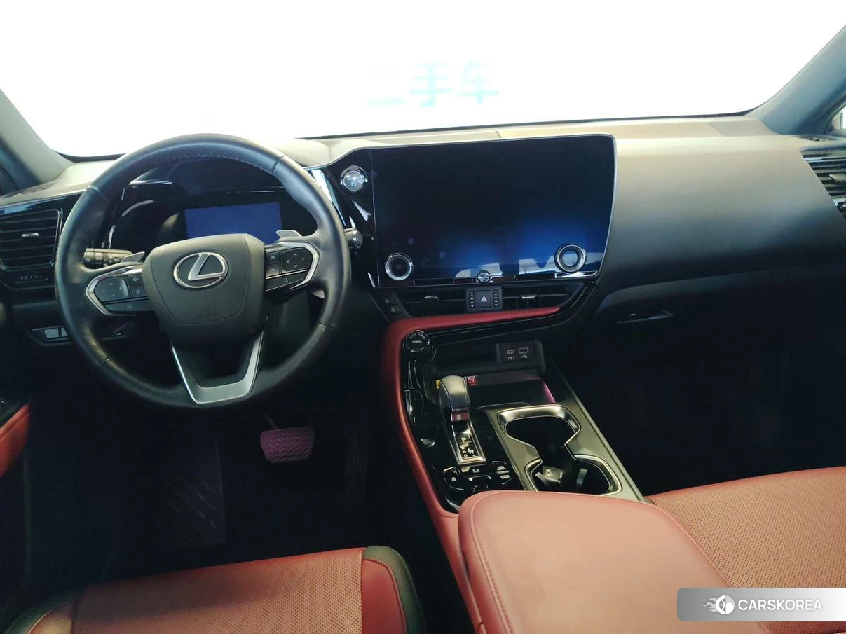 Lexus NX PHEV id 4498690 из Китая 11