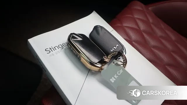 Kia Stinger Meister id 3630468 из Кореи 11