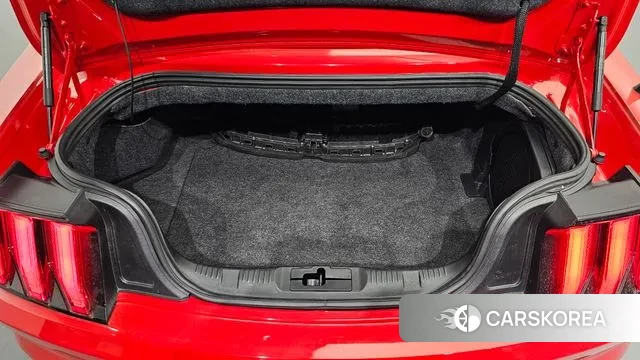 Ford Mustang id 2999380 из Кореи 11