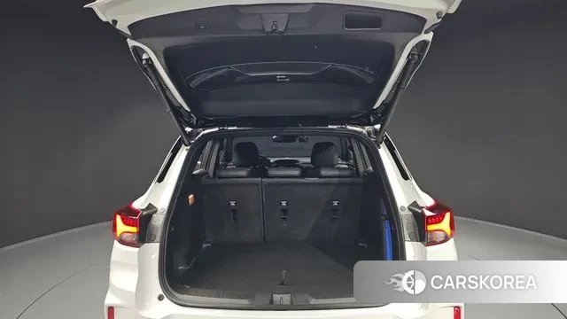 Chevrolet (GM Daewoo) Trailblazer id 2930759 из Кореи 11