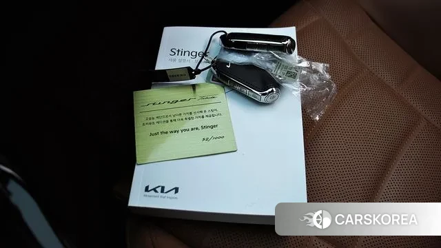 Kia Stinger Meister id 3716547 из Кореи 11