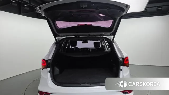 Hyundai Santa Fe The Prime id 3244225 из Кореи 11