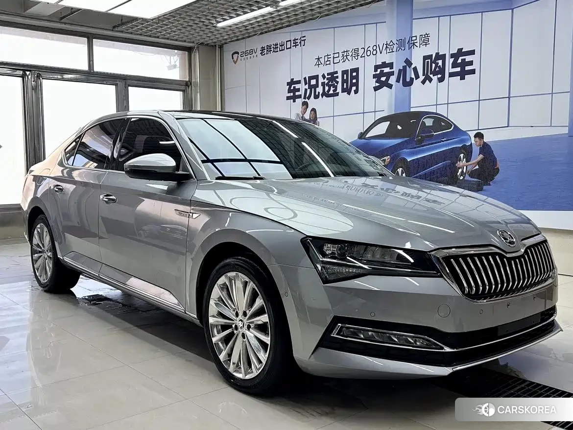 Skoda Speed pie id 4577624 из Китая 11
