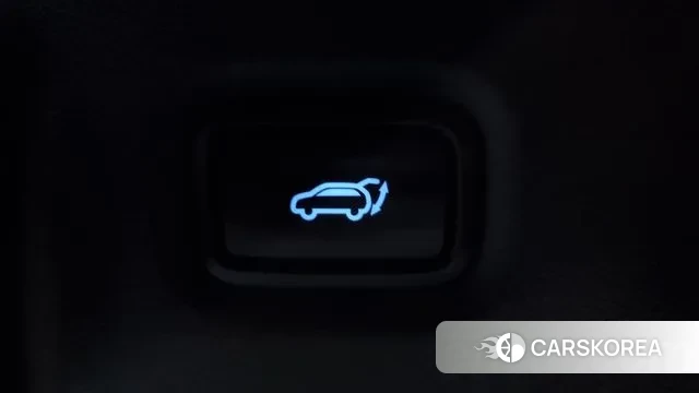 Hyundai The New Santa Fe id 3022102 из Кореи 11