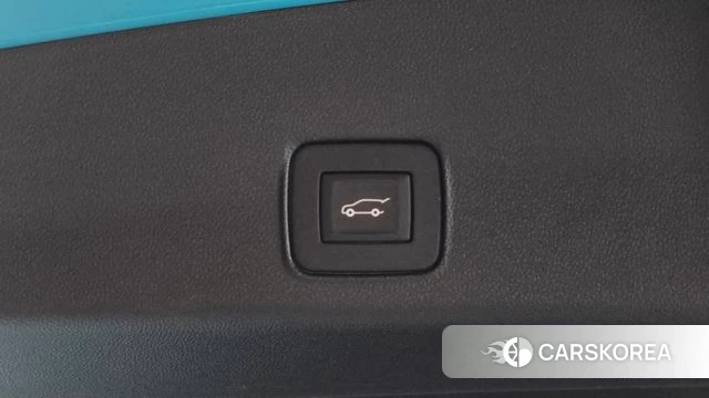 Chevrolet (GM Daewoo) Trailblazer id 4657874 из Кореи 11