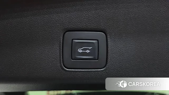 Chevrolet (GM Daewoo) Trailblazer id 3712747 из Кореи 11