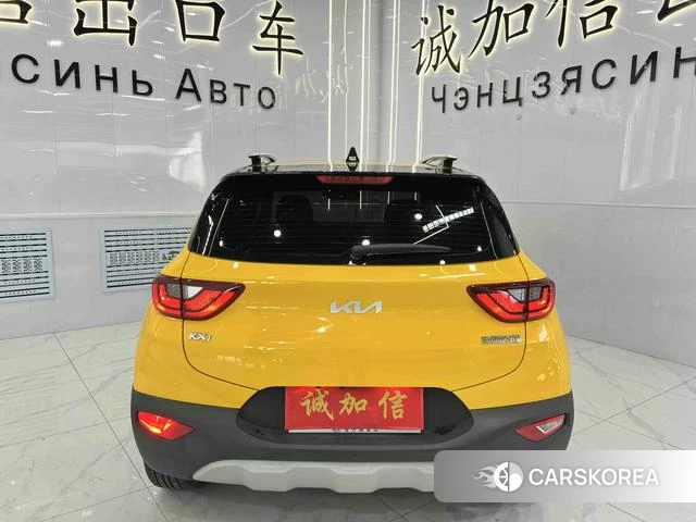 Kia Yi Ran id 4263212 из Китая 11