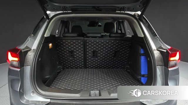 Chevrolet (GM Daewoo) Trailblazer id 3893154 из Кореи 11