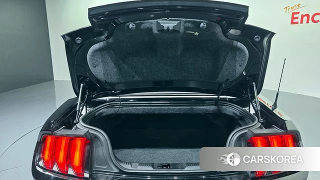 Ford Mustang id 3866861 из Кореи 11