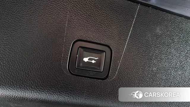 Chevrolet (GM Daewoo) Traverse id 3238663 из Кореи 11