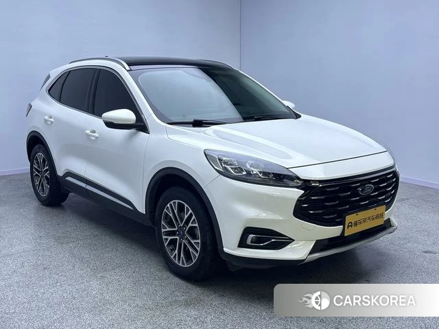 Ford Ruiji id 4238442 из Китая 11