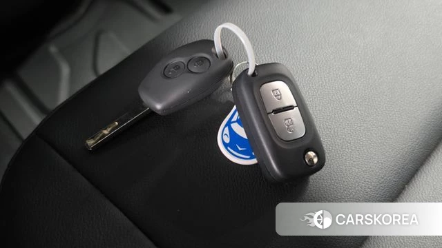 Renault Korea (Samsung) Master id 4499702 из Кореи 11