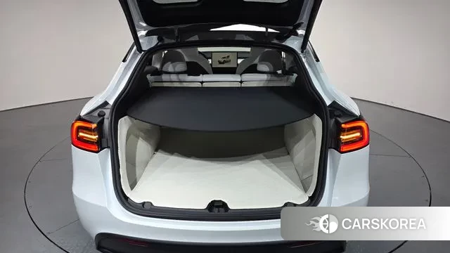 Tesla Model Y id 3011144 из Кореи 11