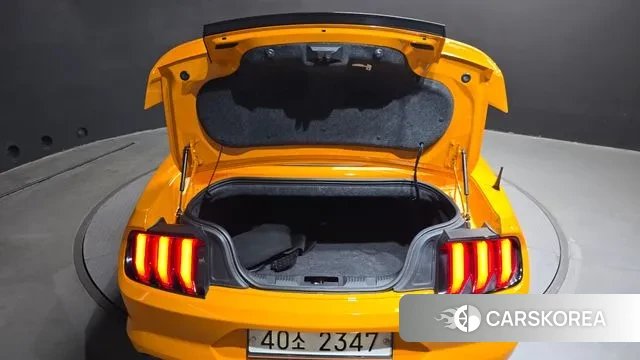 Ford Mustang id 3350993 из Кореи 11