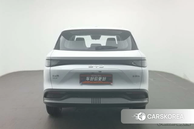 BYD Sea Lion 05DM id 4210285 из Китая 11