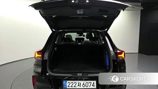 Chevrolet (GM Daewoo) Trailblazer id 3427370 из Кореи 11