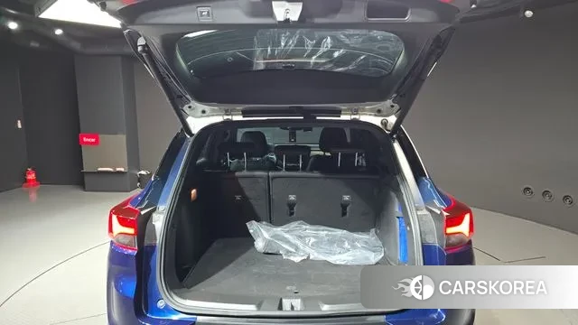 Chevrolet (GM Daewoo) Trailblazer id 3343780 из Кореи 11