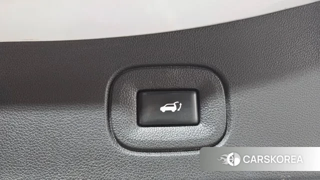 Renault Korea (Samsung) The New QM6 id 3433329 из Кореи 11