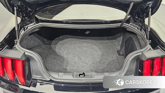 Ford Mustang id 3741590 из Кореи 11